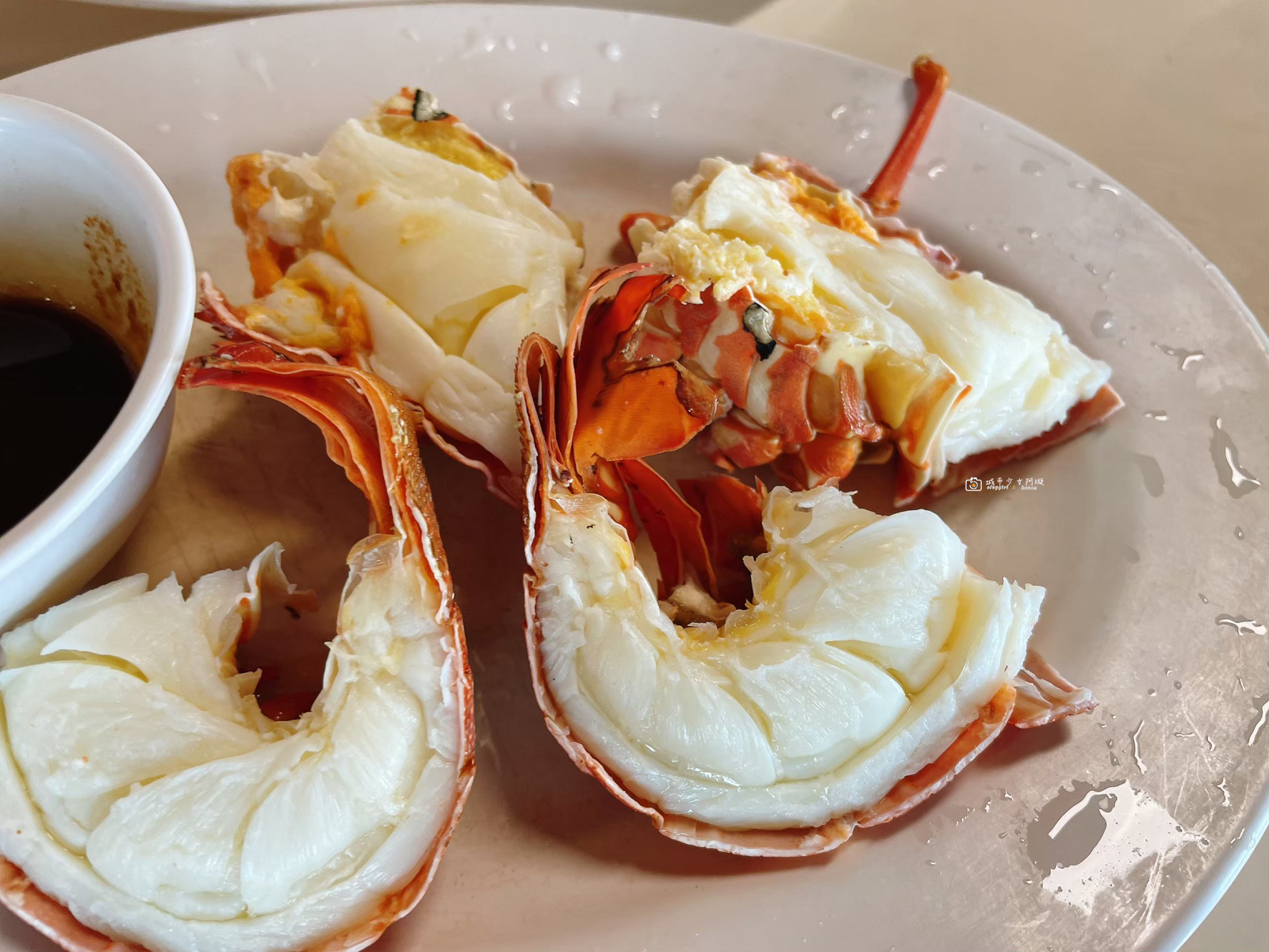 [花蓮美食]055龍蝦海鮮餐廳｜龍蝦自己挑、海鮮明碼標價！花蓮壽豐平價海鮮推薦 @城市少女阿璇