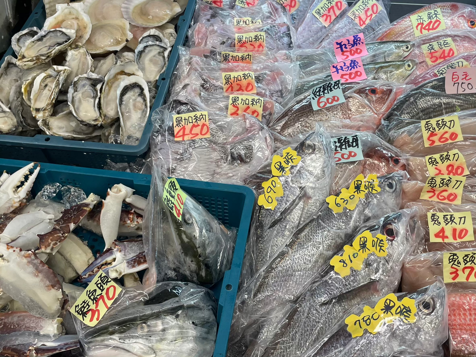[花蓮美食]055龍蝦海鮮餐廳｜龍蝦自己挑、海鮮明碼標價！花蓮壽豐平價海鮮推薦 @城市少女阿璇