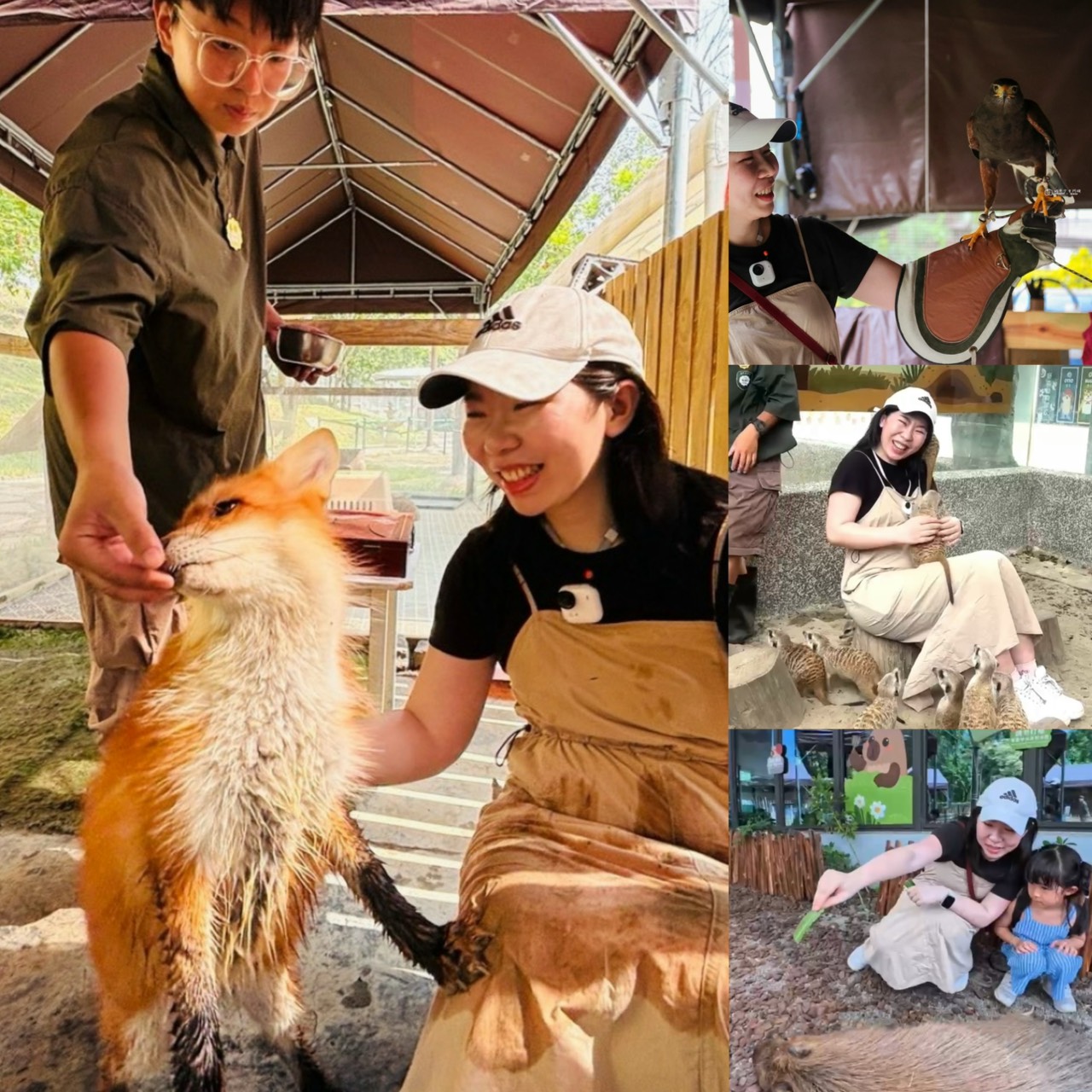 受保護的內容: [高雄景點]野森動物學校｜不像動物園的動物園！20種以上動物近距離互動一次滿足，完整一日遊攻略 @城市少女阿璇