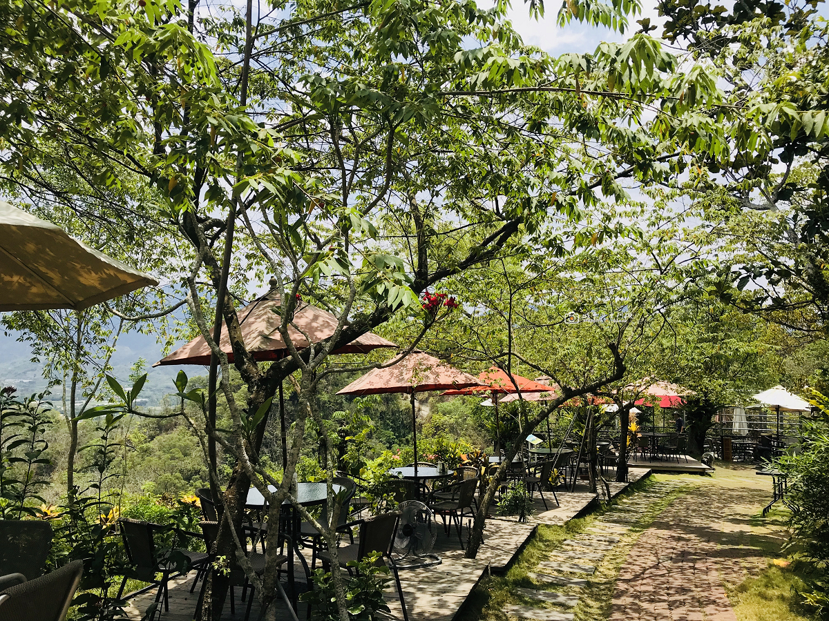 [台南景點] 玉井虎頭山瑪莎園｜俯瞰山景的老牌景觀餐廳，玻璃屋與庭園美景，在地水果入菜 @城市少女阿璇