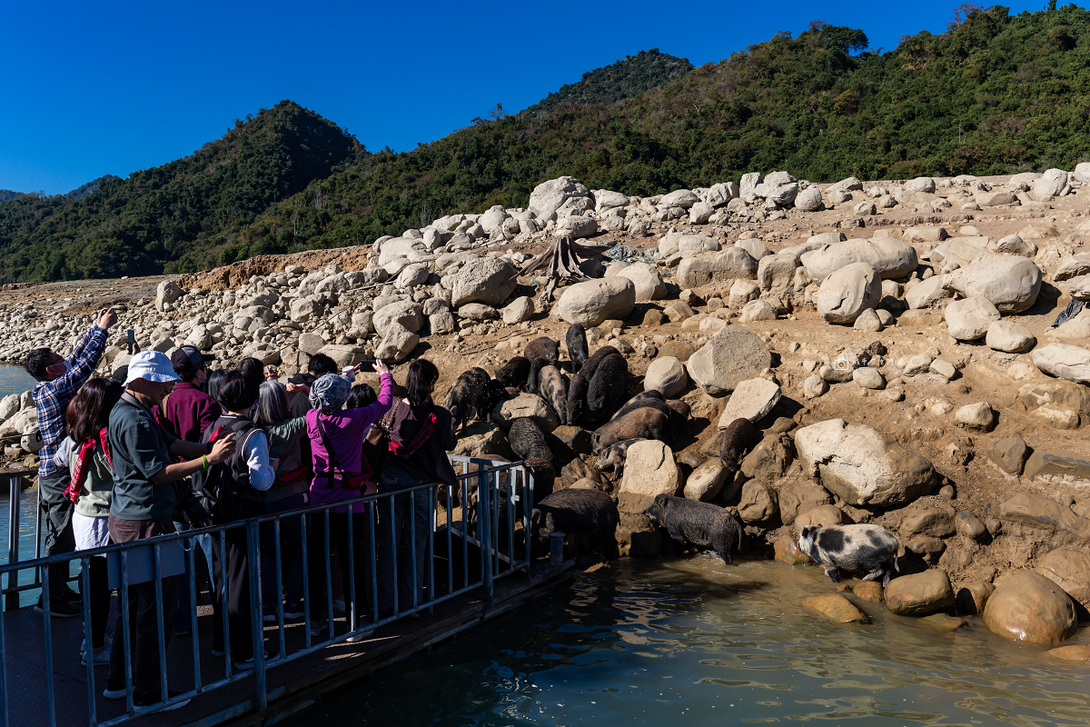 [台南景點] 曾文水庫遊船｜山豬島、飛鷹峽谷、釣魚體驗一次玩 @城市少女阿璇