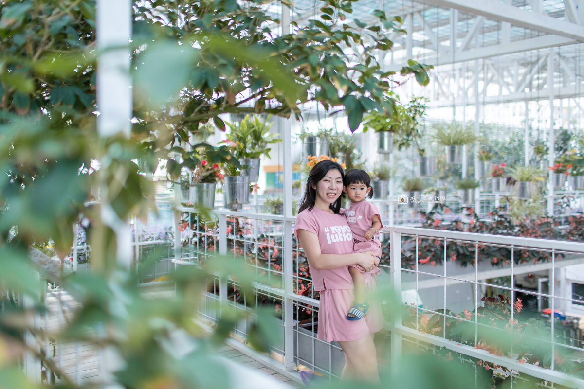 [宜蘭景點] 香草菲菲芳香植物博物館｜夢幻玻璃花園餐廳、二樓空中走道、親子遊戲區 @城市少女阿璇