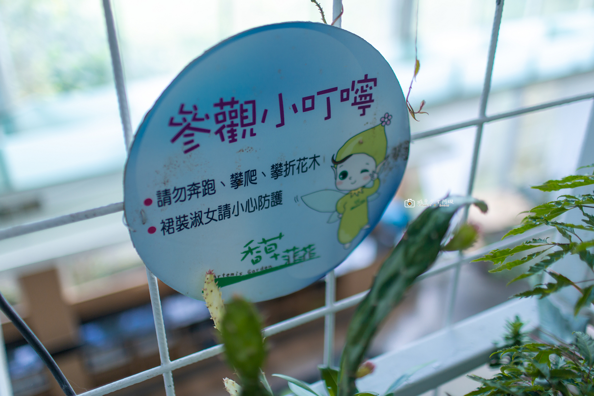 [宜蘭景點] 香草菲菲芳香植物博物館｜夢幻玻璃花園餐廳、二樓空中走道、親子遊戲區 @城市少女阿璇