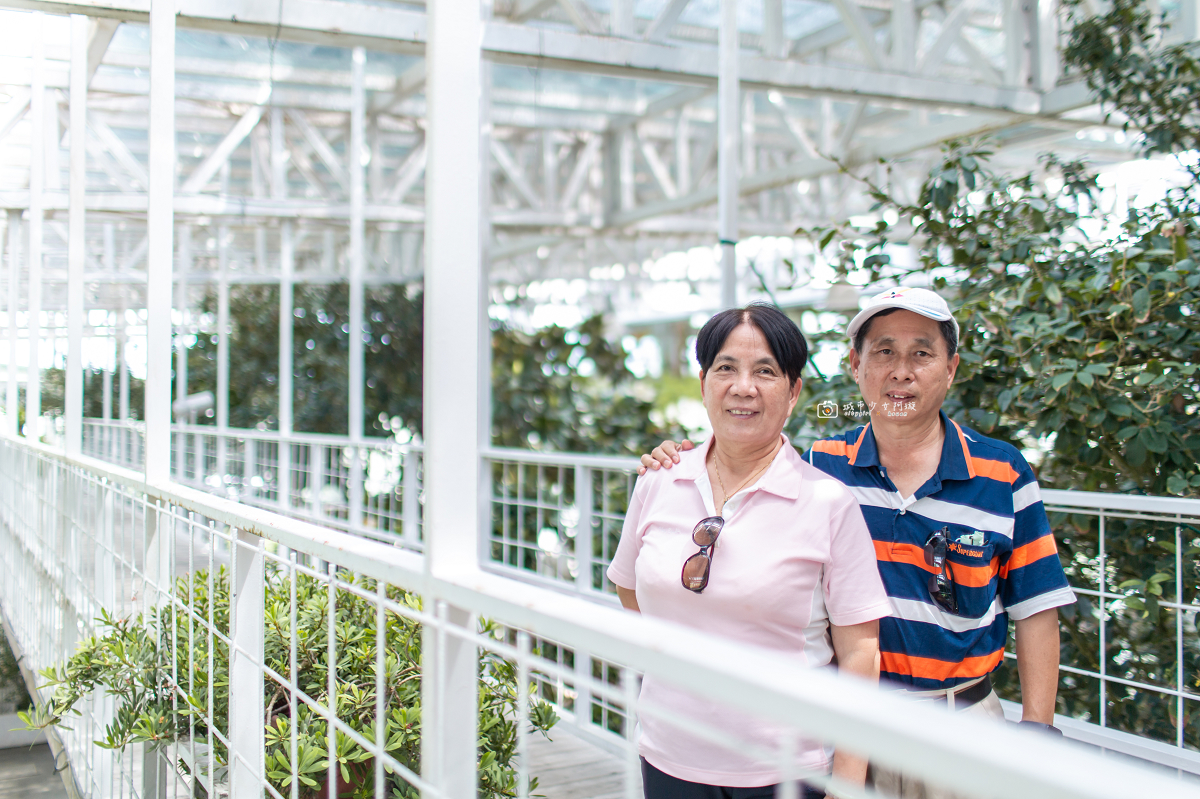 [宜蘭景點] 香草菲菲芳香植物博物館｜夢幻玻璃花園餐廳、二樓空中走道、親子遊戲區 @城市少女阿璇