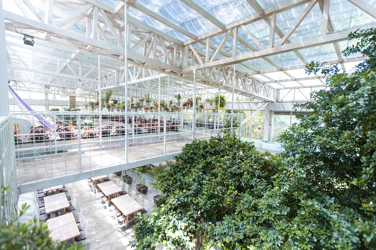[宜蘭景點] 香草菲菲芳香植物博物館｜夢幻玻璃花園餐廳、二樓空中走道、親子遊戲區 @城市少女阿璇