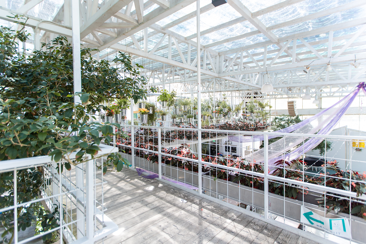 [宜蘭景點] 香草菲菲芳香植物博物館｜夢幻玻璃花園餐廳、二樓空中走道、親子遊戲區 @城市少女阿璇