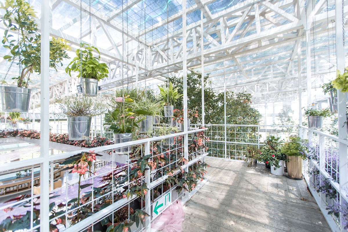 [宜蘭景點] 香草菲菲芳香植物博物館｜夢幻玻璃花園餐廳、二樓空中走道、親子遊戲區 @城市少女阿璇