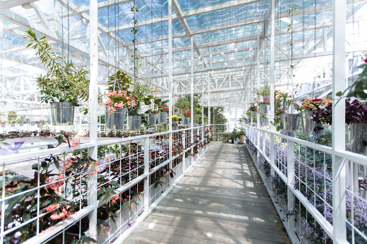 [宜蘭景點] 香草菲菲芳香植物博物館｜夢幻玻璃花園餐廳、二樓空中走道、親子遊戲區 @城市少女阿璇