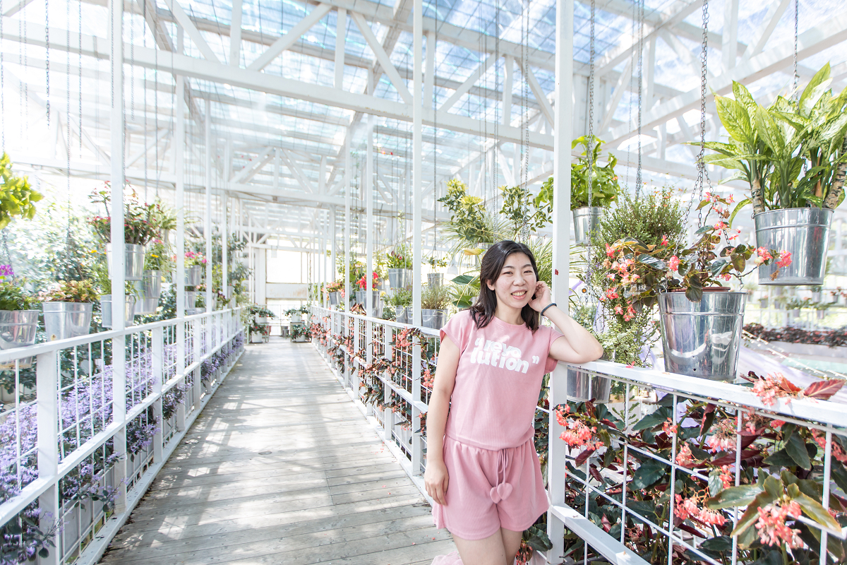[宜蘭景點] 香草菲菲芳香植物博物館｜夢幻玻璃花園餐廳、二樓空中走道、親子遊戲區 @城市少女阿璇