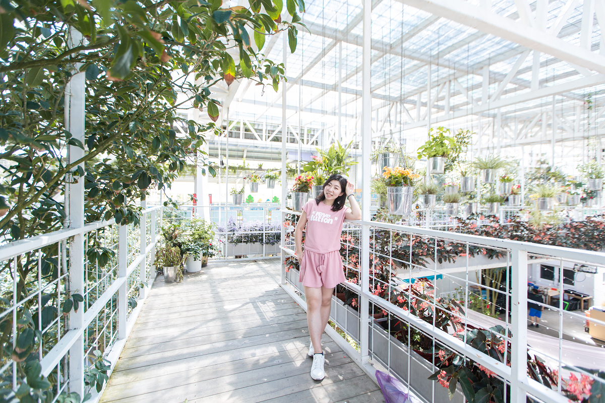 [宜蘭景點] 香草菲菲芳香植物博物館｜夢幻玻璃花園餐廳、二樓空中走道、親子遊戲區 @城市少女阿璇