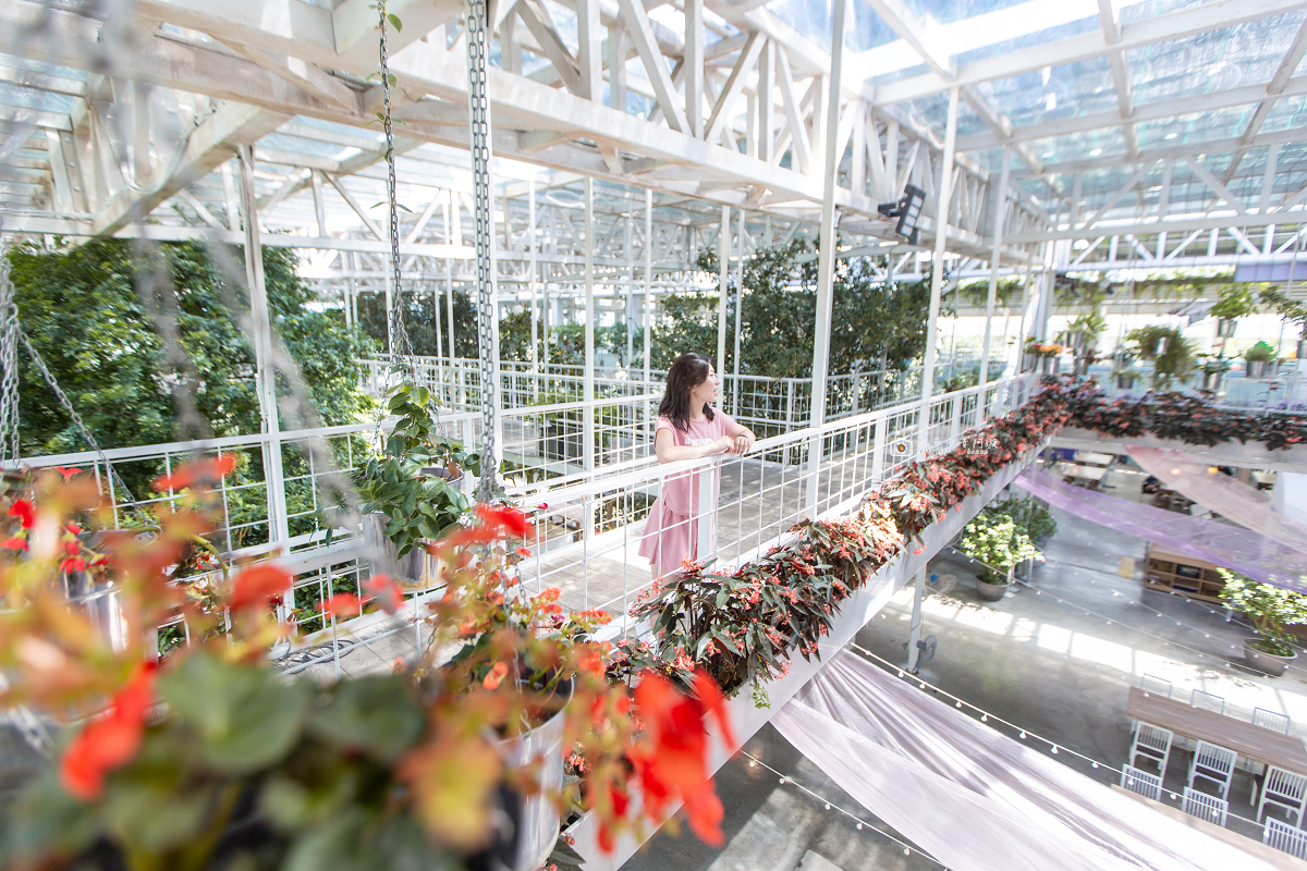 [宜蘭景點] 香草菲菲芳香植物博物館｜夢幻玻璃花園餐廳、二樓空中走道、親子遊戲區 @城市少女阿璇