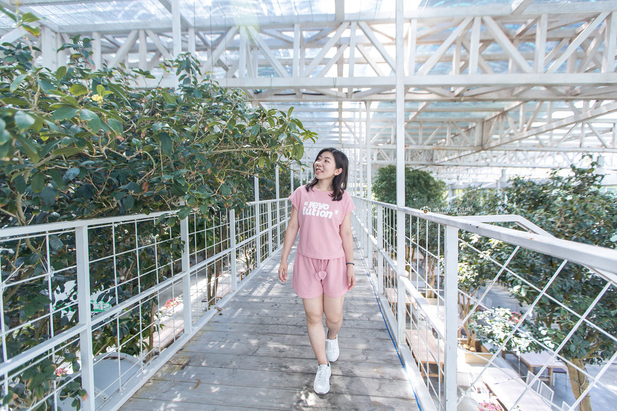 [宜蘭景點] 香草菲菲芳香植物博物館｜夢幻玻璃花園餐廳、二樓空中走道、親子遊戲區 @城市少女阿璇