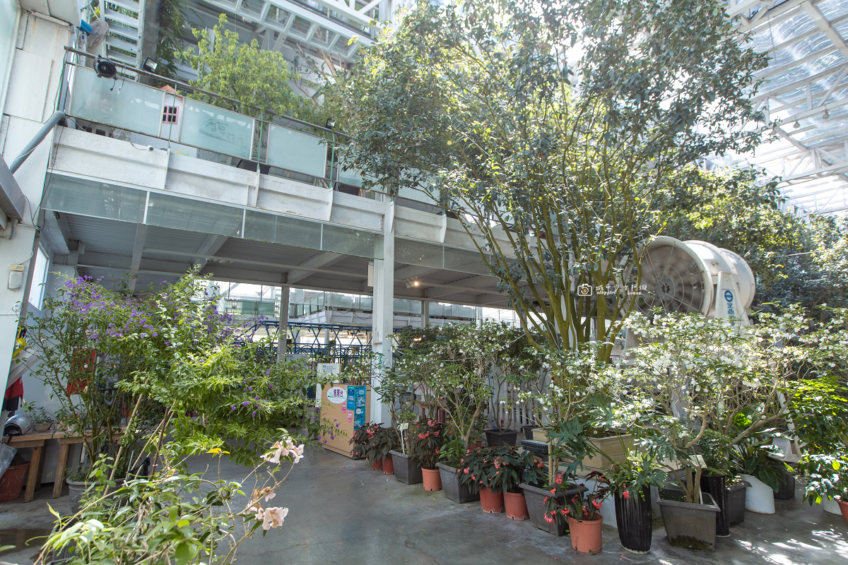 [宜蘭景點] 香草菲菲芳香植物博物館｜夢幻玻璃花園餐廳、二樓空中走道、親子遊戲區 @城市少女阿璇