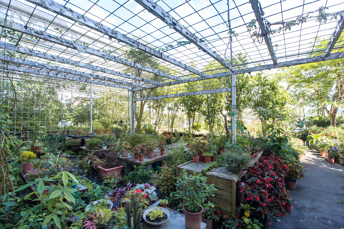[宜蘭景點] 香草菲菲芳香植物博物館｜夢幻玻璃花園餐廳、二樓空中走道、親子遊戲區 @城市少女阿璇
