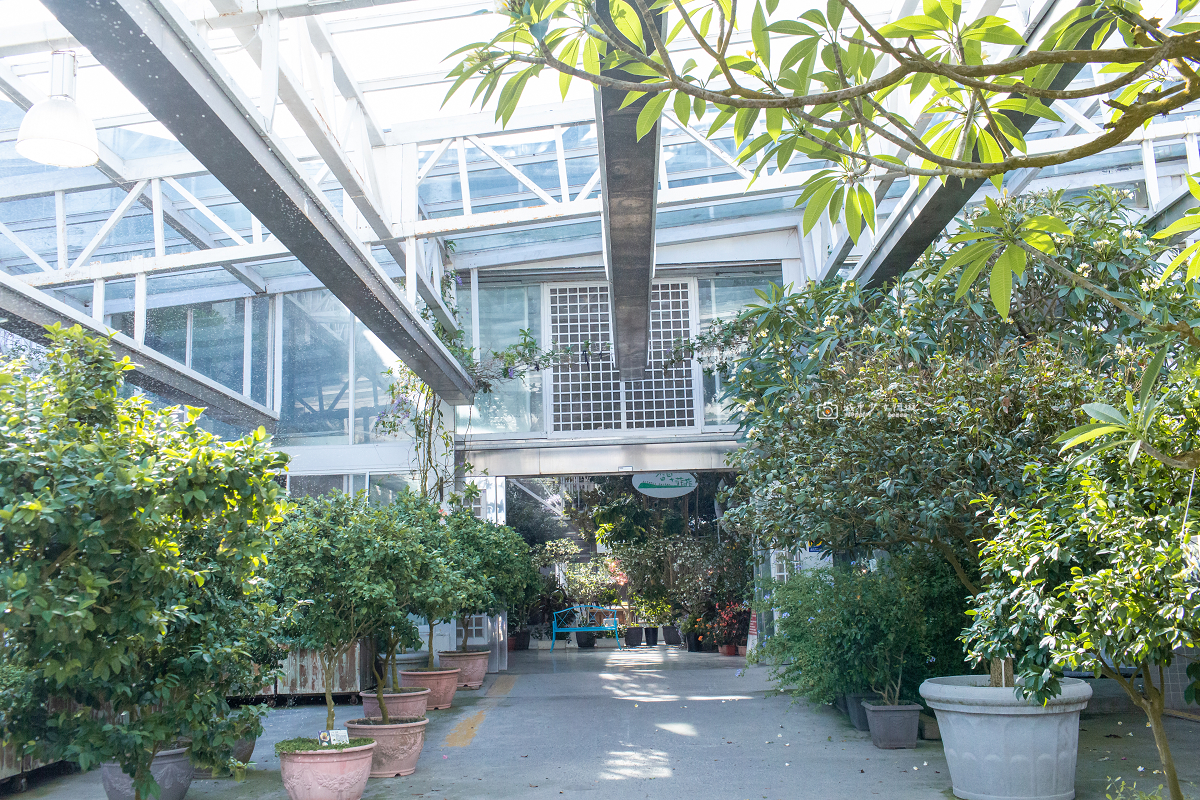 [宜蘭景點] 香草菲菲芳香植物博物館｜夢幻玻璃花園餐廳、二樓空中走道、親子遊戲區 @城市少女阿璇