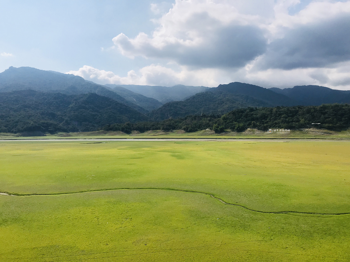 [嘉義景點] 大埔半日遊｜免費接駁車、漂流木提琴 DIY、曾文水庫風景 @城市少女阿璇