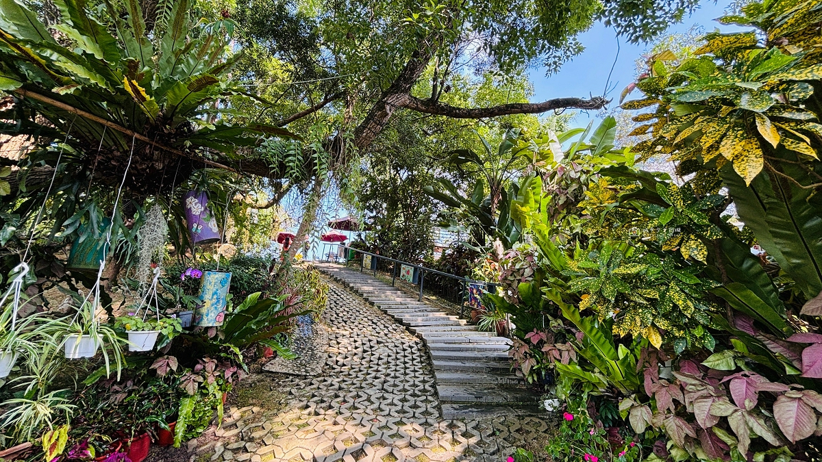 [台南景點] 玉井虎頭山瑪莎園｜俯瞰山景的老牌景觀餐廳，玻璃屋與庭園美景，在地水果入菜 @城市少女阿璇