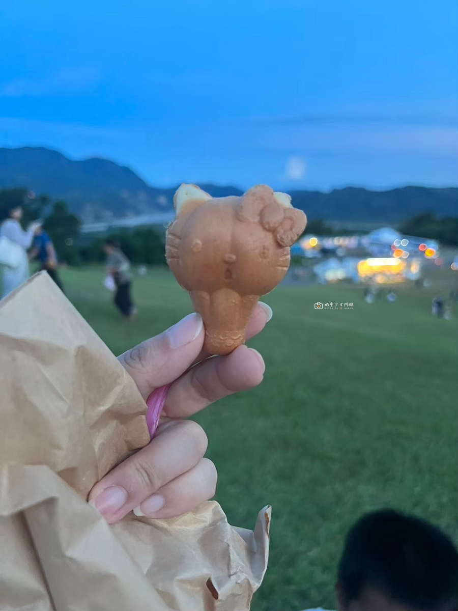 [台東旅遊] 台東三天兩夜｜熱氣球嘉年華、海岸景點與美食 @城市少女阿璇