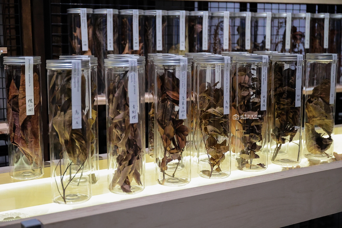 [台南活動]臺南國家美術館 臺灣光譜──臺灣本色｜從大阪展回臺灣，光影藝術結合的展覽 @城市少女阿璇