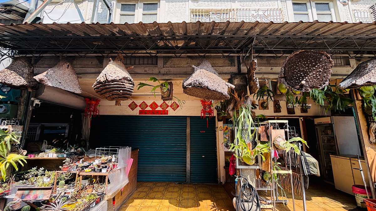 [嘉義景點] 大埔半日遊｜免費接駁車、漂流木提琴 DIY、曾文水庫風景 @城市少女阿璇