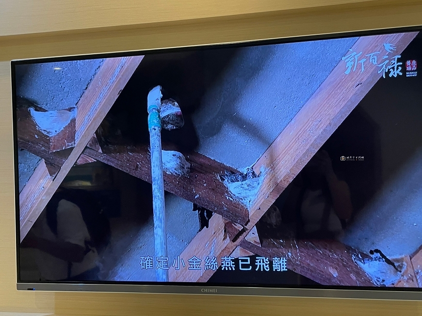 [台南景點] 新百祿燕窩觀光工廠｜免費參觀認識燕窩，冰糖燕窩DIY自己挑燕毛 @城市少女阿璇