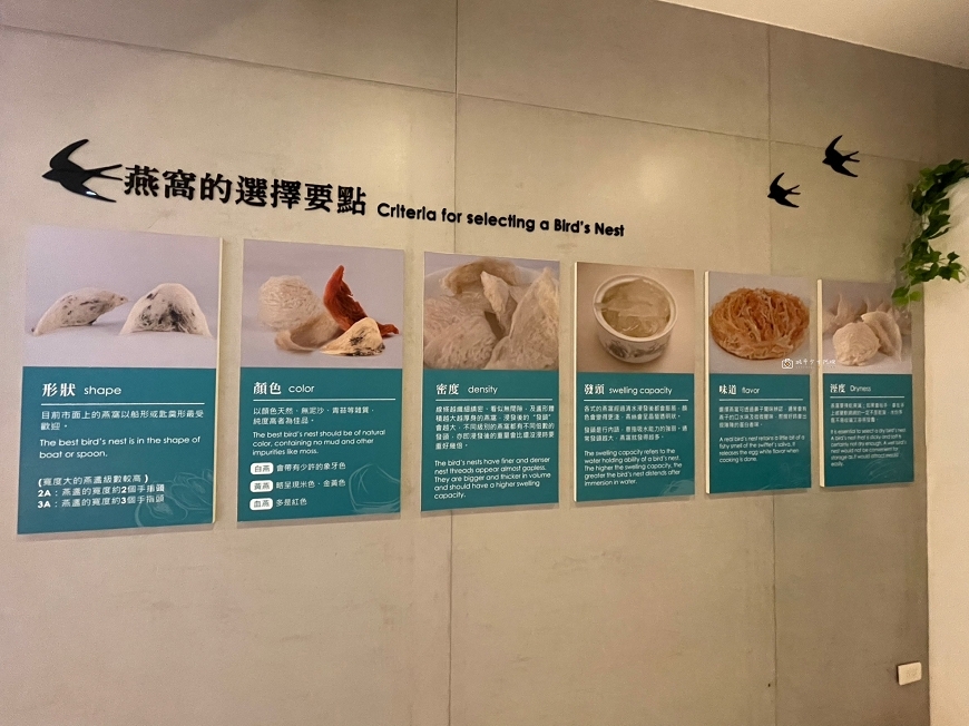 [台南景點] 新百祿燕窩觀光工廠｜免費參觀認識燕窩，冰糖燕窩DIY自己挑燕毛 @城市少女阿璇