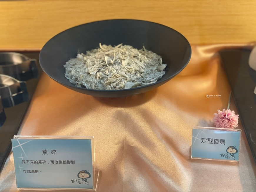 [台南景點] 新百祿燕窩觀光工廠｜免費參觀認識燕窩，冰糖燕窩DIY自己挑燕毛 @城市少女阿璇
