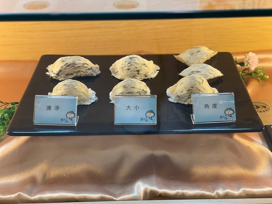 [台南景點] 新百祿燕窩觀光工廠｜免費參觀認識燕窩，冰糖燕窩DIY自己挑燕毛 @城市少女阿璇