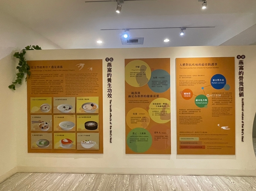 [台南景點] 新百祿燕窩觀光工廠｜免費參觀認識燕窩，冰糖燕窩DIY自己挑燕毛 @城市少女阿璇