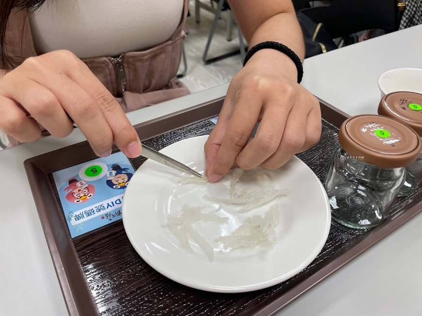 [台南景點] 新百祿燕窩觀光工廠｜免費參觀認識燕窩，冰糖燕窩DIY自己挑燕毛 @城市少女阿璇