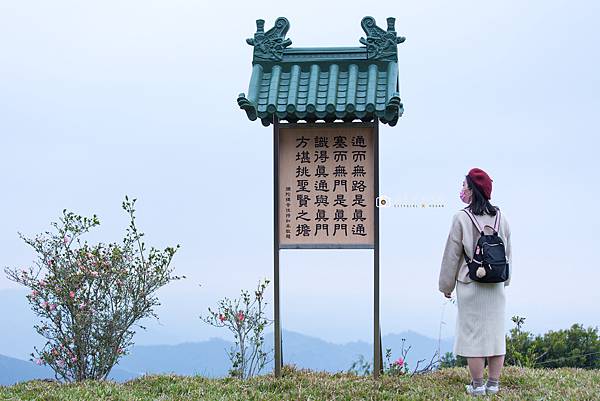 [嘉義景點]阿里山賞櫻秘境 想拍美照不用人擠人 偽出國超夢幻櫻花勝地分享 @城市少女阿璇