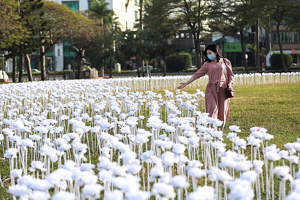 [台南活動]3萬朵白玫瑰花海環繞！！超浪漫最新美拍景點登場 @城市少女阿璇