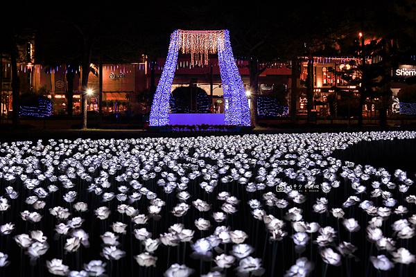 [台南活動]3萬朵白玫瑰花海環繞！！超浪漫最新美拍景點登場 @城市少女阿璇