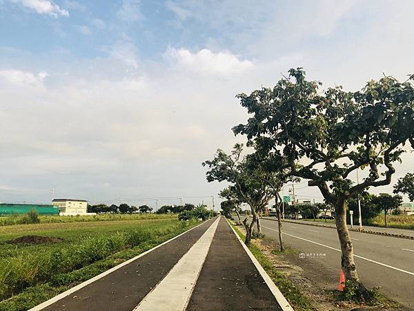 [台南景點]黃花絢爛盛開，紛飛學甲糖鐵，黃金雨紛飛自行車道太浪漫 @城市少女阿璇