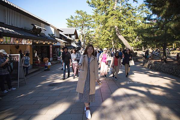 [日本旅遊]京阪奈新手必訪經典行程Day1  走訪世界遺產.奈良超萌鹿群零距離.千古鳥居紅色隧道全收錄 @城市少女阿璇