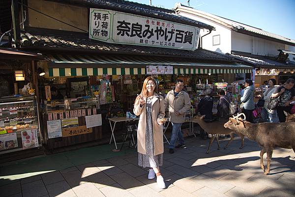 [日本旅遊]京阪奈新手必訪經典行程Day1  走訪世界遺產.奈良超萌鹿群零距離.千古鳥居紅色隧道全收錄 @城市少女阿璇