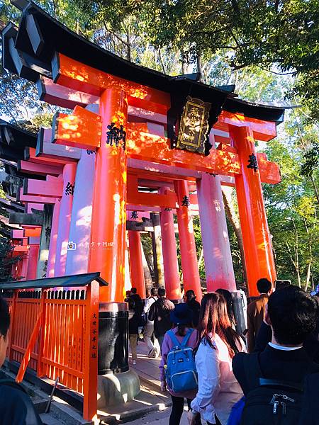 [日本旅遊]京阪奈新手必訪經典行程Day1  走訪世界遺產.奈良超萌鹿群零距離.千古鳥居紅色隧道全收錄 @城市少女阿璇