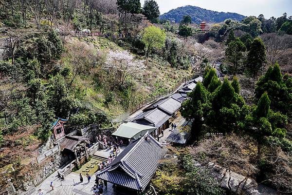 [日本旅遊]京阪奈新手必訪經典行程Day2  鏡面金閣寺.超人氣世界遺產清水寺.嵐山竹林散策全收錄 @城市少女阿璇