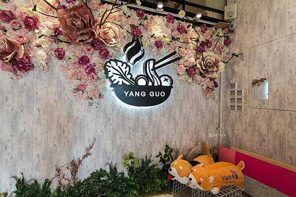 [台南美食]超人氣排隊火鍋 網美風寵物友善餐廳│養鍋 Yang Guo 石頭涮涮鍋 (台南文化店) @城市少女阿璇