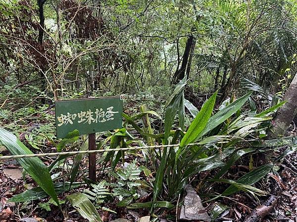 [台東景點] 山外山傳奇 一日獵人體驗 部落秘境深度之旅 @城市少女阿璇