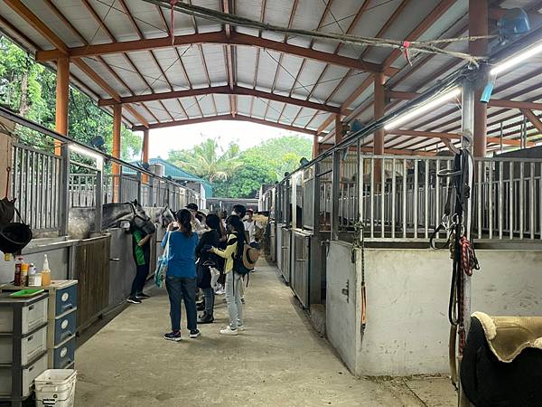 [台南景點]免門票馬場 近距離餵食可愛動物 騎馬體驗超療癒│台灣馬樂活山莊 @城市少女阿璇