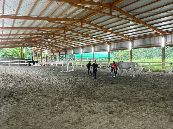 [台南景點]免門票馬場 近距離餵食可愛動物 騎馬體驗超療癒│台灣馬樂活山莊 @城市少女阿璇