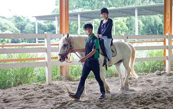 [台南景點]免門票馬場 近距離餵食可愛動物 騎馬體驗超療癒│台灣馬樂活山莊 @城市少女阿璇