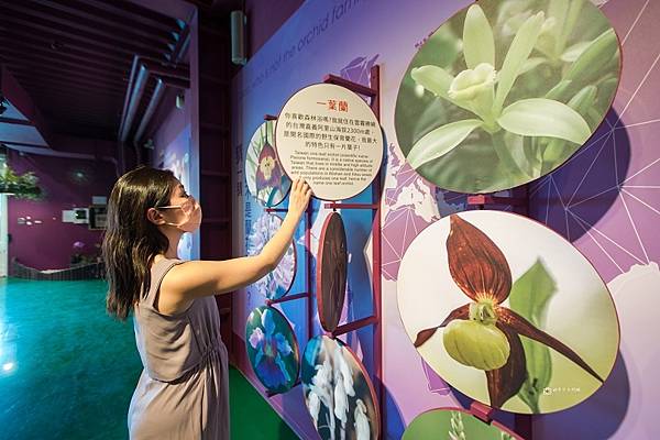 [台南景點]超好拍網美彩繪牆x夢幻遊艇花園 免門票蘭花主題園區 │蘭都觀光工廠 @城市少女阿璇