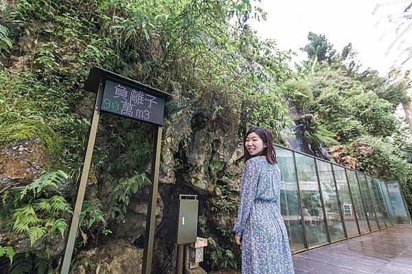 [南投旅遊]溪頭兩天一夜推薦行程 米堤度假輕旅遊 夜間森林漫遊／職人揉茶體驗 @城市少女阿璇